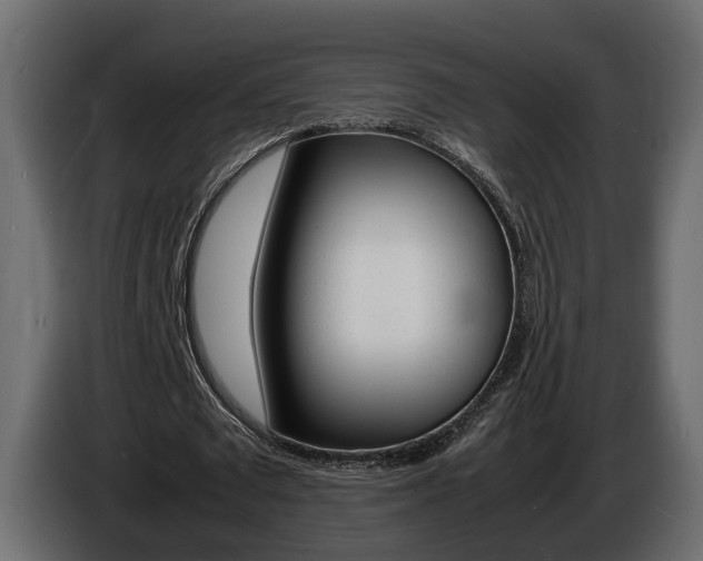 X0000086910673200704161010