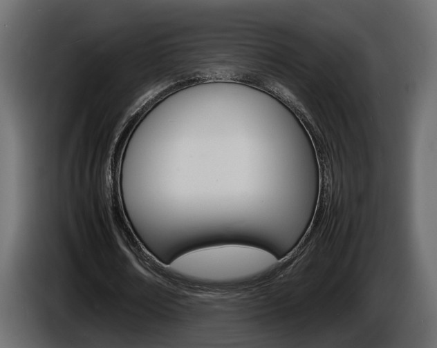 X0000086910674200704161010