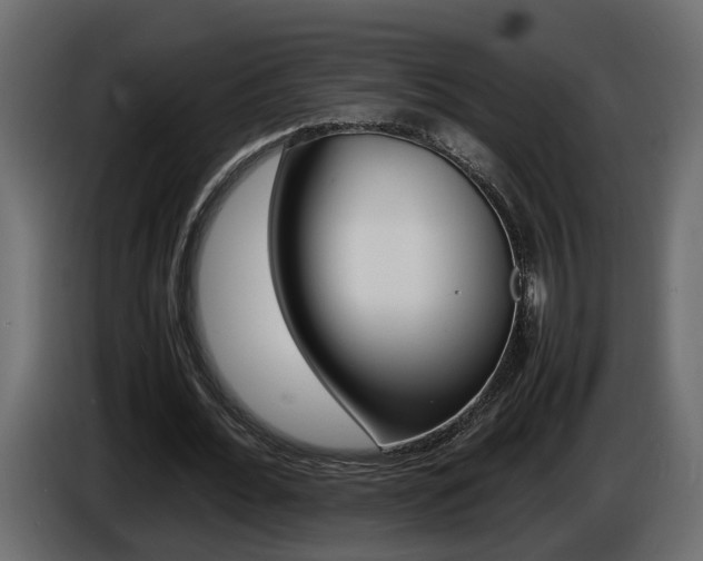 X0000086910676200704161010