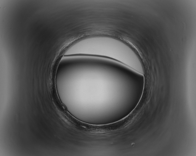 X0000086910677200704161010