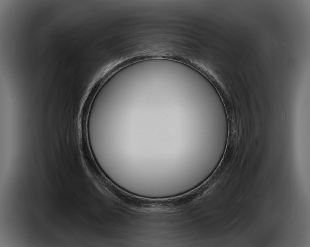 X0000086910678200704161009