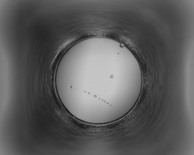 X0000086910679200704161009