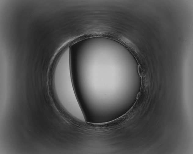 X0000086910680200704161009