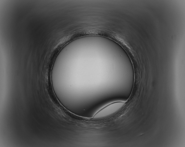 X0000086910681200704161009
