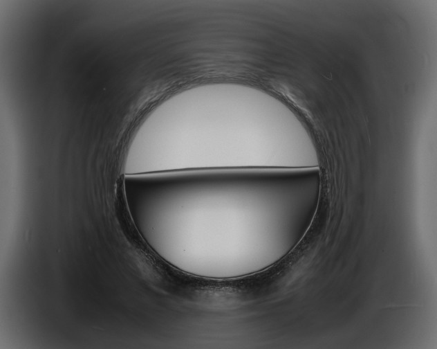 X0000086910685200704161009