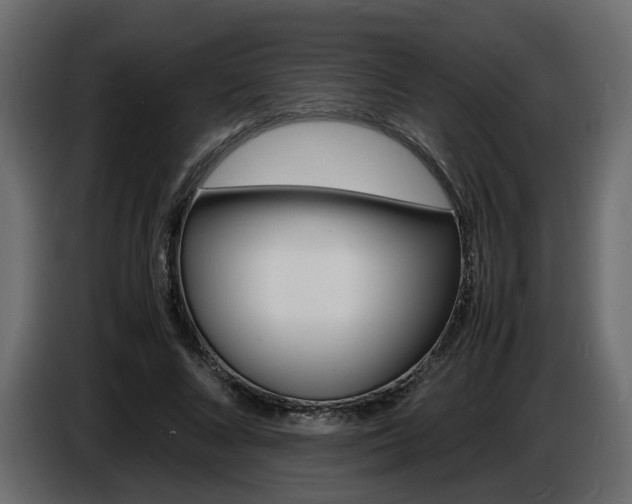 X0000086910688200704161009