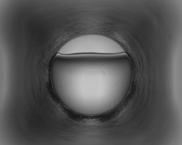 X0000086910689200704161009