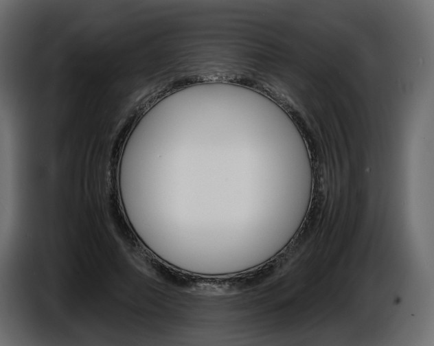 X0000086910690200704161009