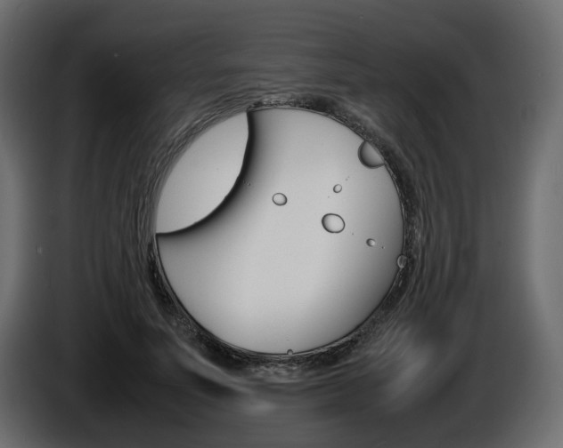 X0000086910691200704161009