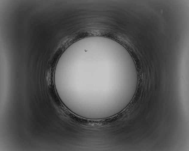 X0000086910694200704161009