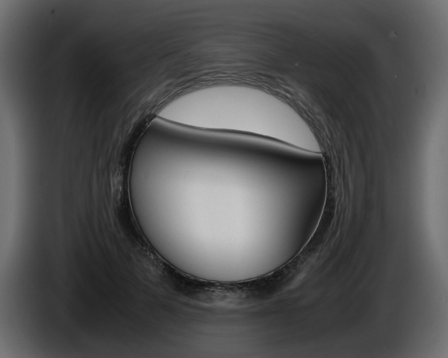 X0000086910697200704161009