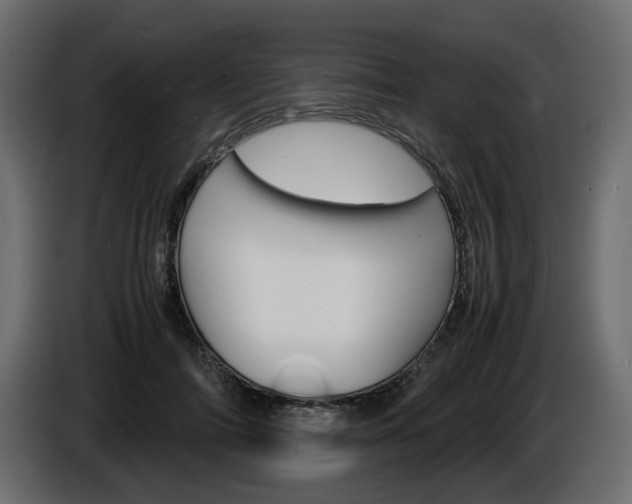 X0000086910698200704161009