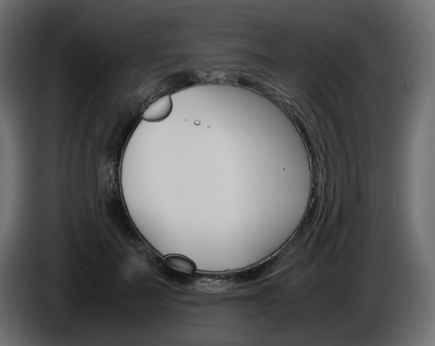 X0000086910699200704161009