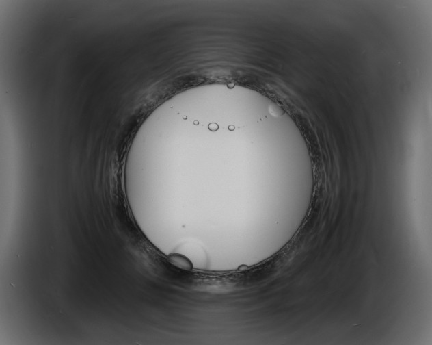 X0000086910702200704161009