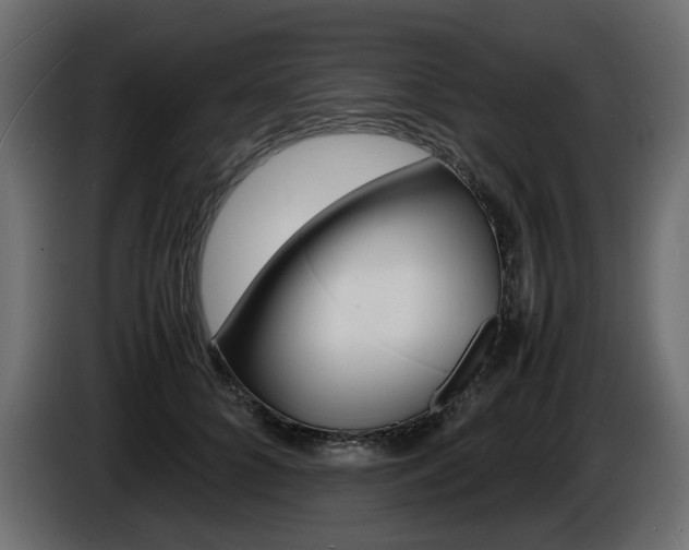 X0000086910704200704161009