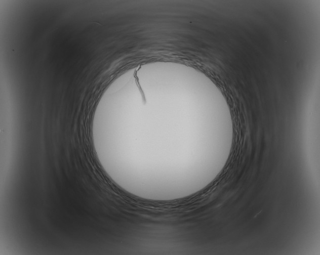 X0000086910705200704161009