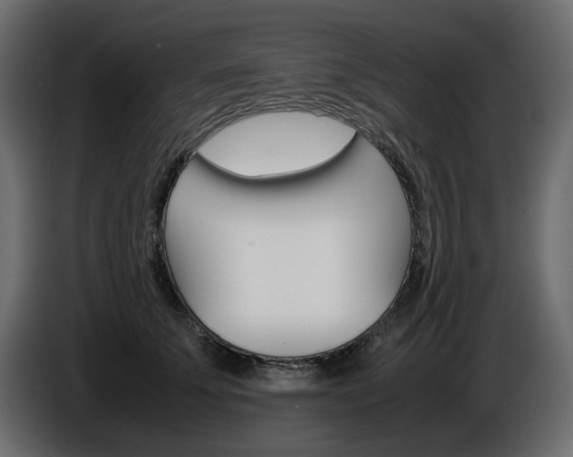 X0000086910707200704161009