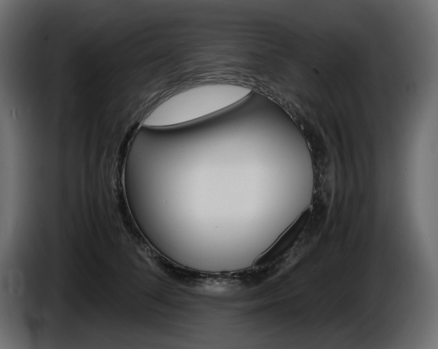 X0000086910708200704161009