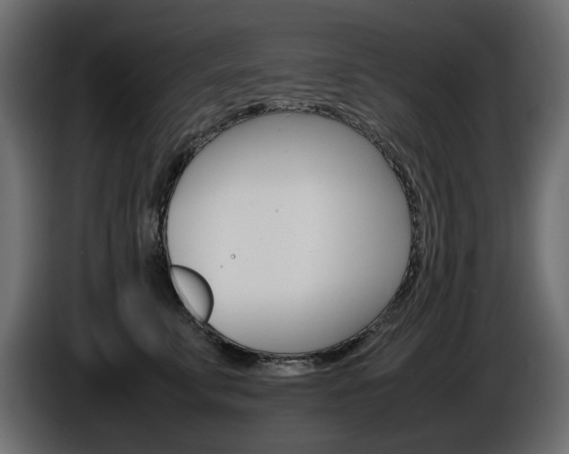 X0000086910711200704161009