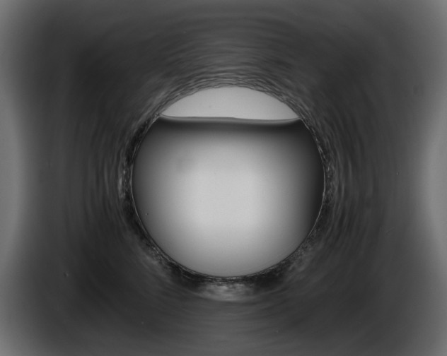 X0000086910712200704161009