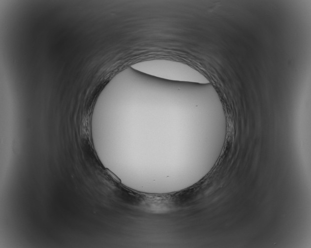 X0000086910713200704161009