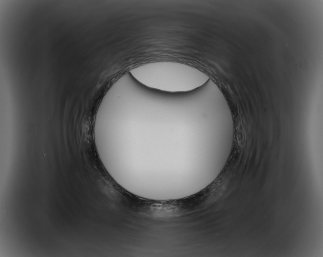 X0000086910714200704161009