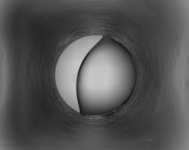 X0000086910720200704161009
