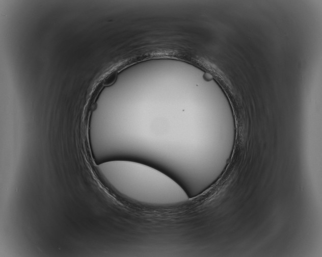 X0000086910721200704161008