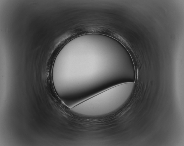 X0000086910723200704161008