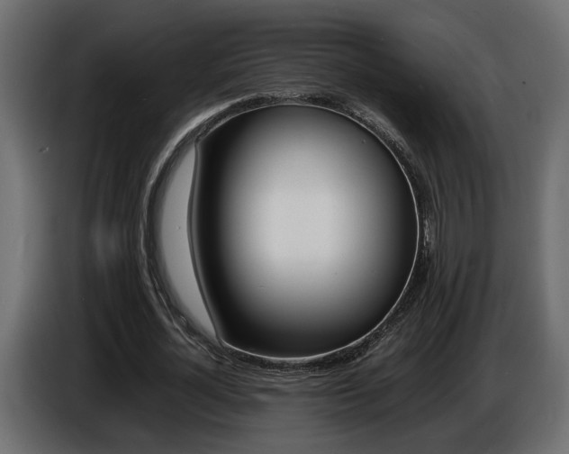 X0000086910724200704161008
