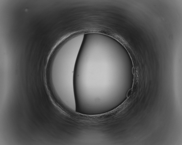 X0000086910726200704161008