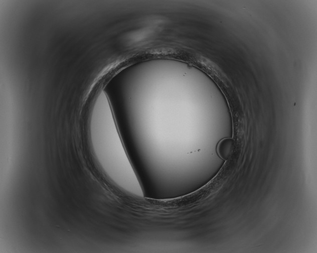 X0000086910727200704161008