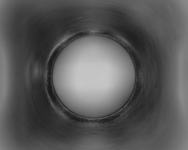 X0000086910730200704161008