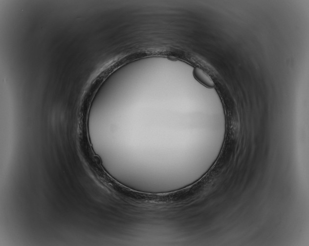 X0000086910732200704161008