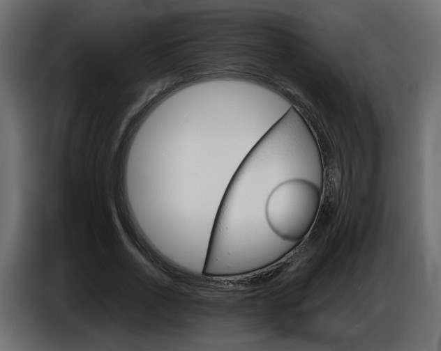 X0000086910734200704161008
