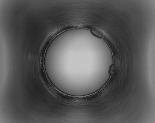 X0000086910736200704161008