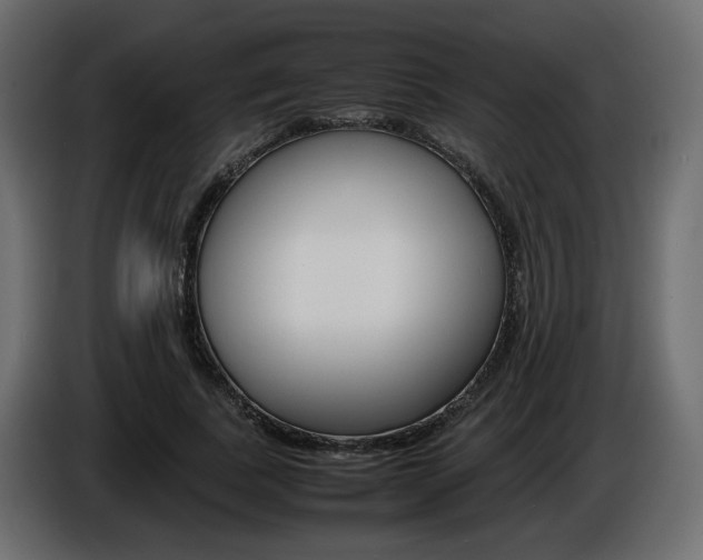 X0000086910739200704161008