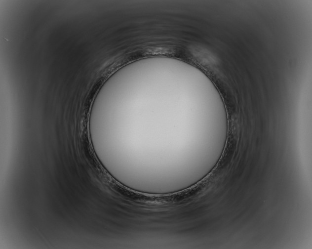 X0000086910741200704161008