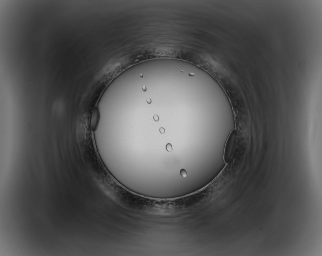 X0000086910744200704161009