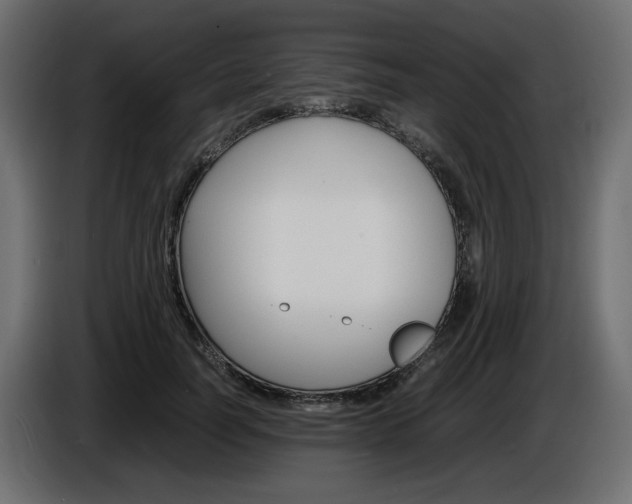 X0000086910746200704161009