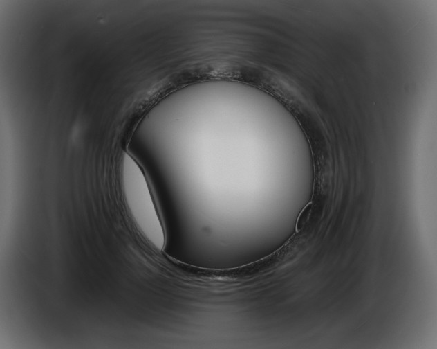 X0000086910748200704161009