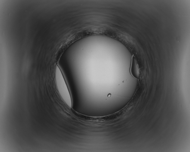 X0000086910752200704161009