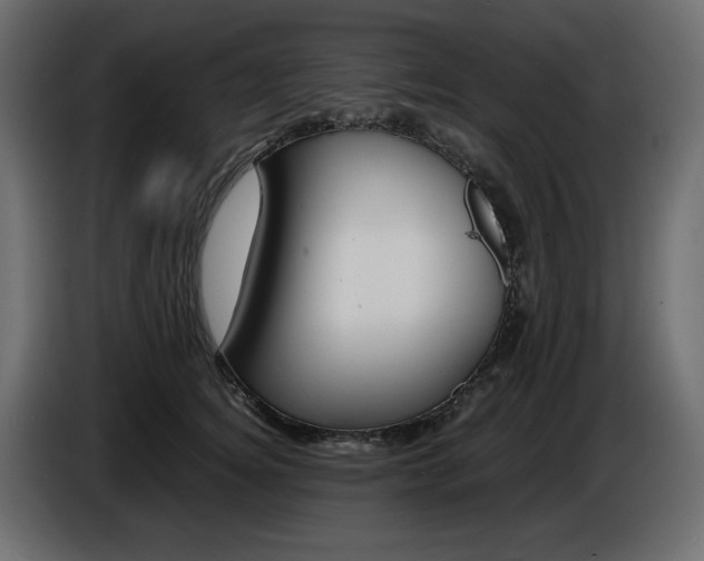 X0000086910756200704161009