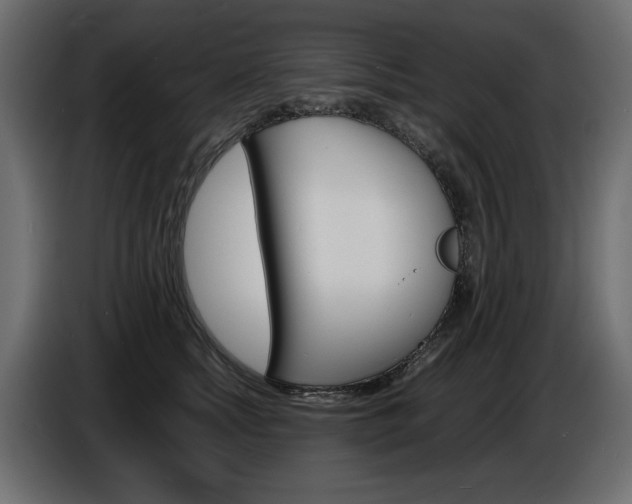 X0000086910758200704161009