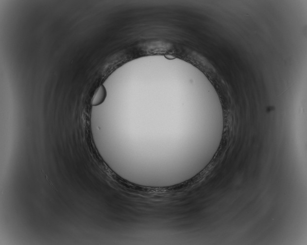 X0000086910761200704161009