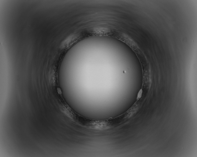 X0000086910762200704161009