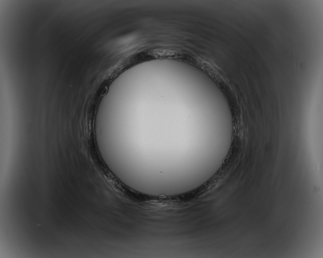 X0000086910763200704161009