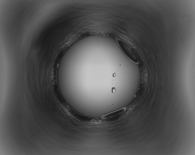 X0000086910764200704161009