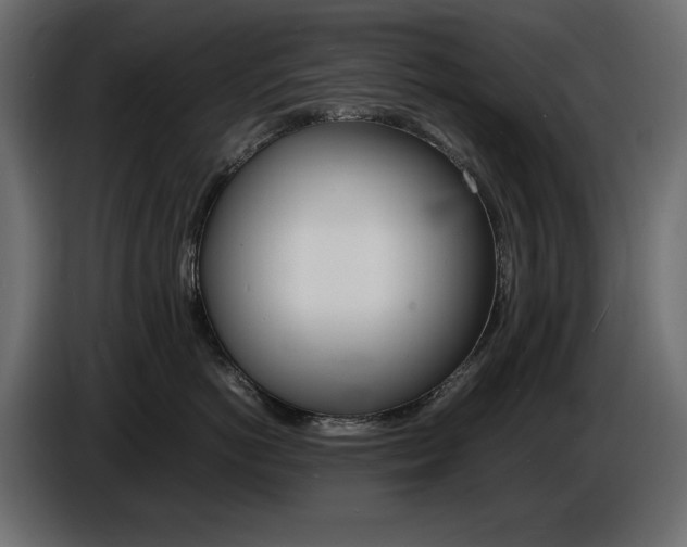 X0000086910766200704161009