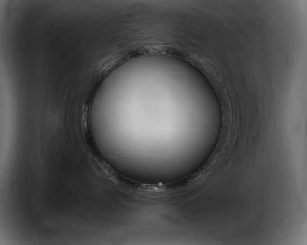 X0000086910768200704161009